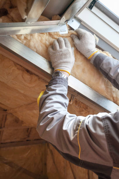Best Energy Efficiency Insulation in De Soto, KS