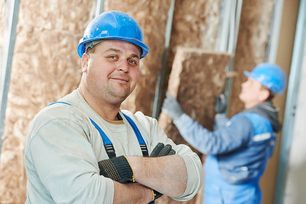 Best Cellulose Insulation in De Soto, KS