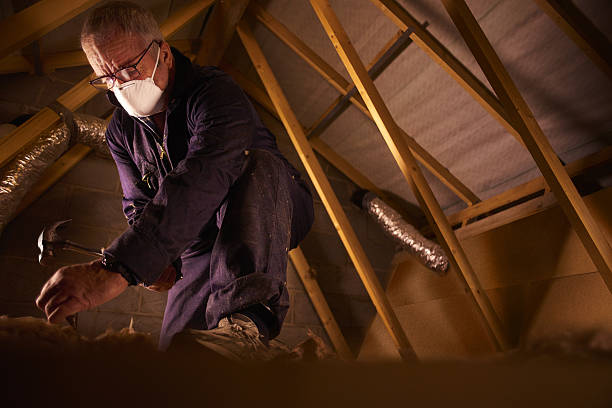 Best Geographic-Specific Insulation Services in De Soto, KS